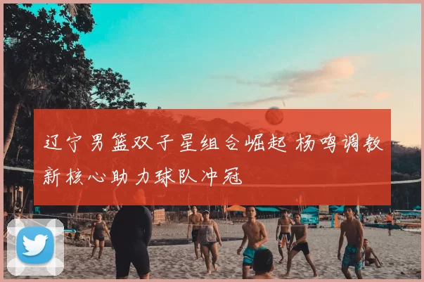 辽宁男篮双子星组合崛起 杨鸣调教新核心助力球队冲冠