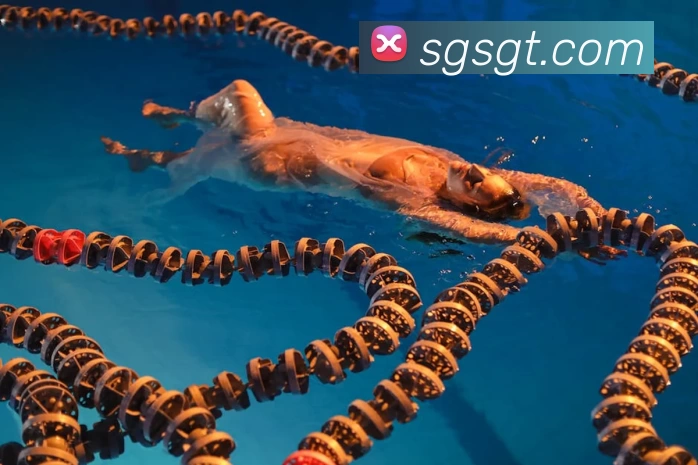 pg电子游戏app下载(中国)官方系统全站App pg电子游戏app下载(中国)官方系统全站App